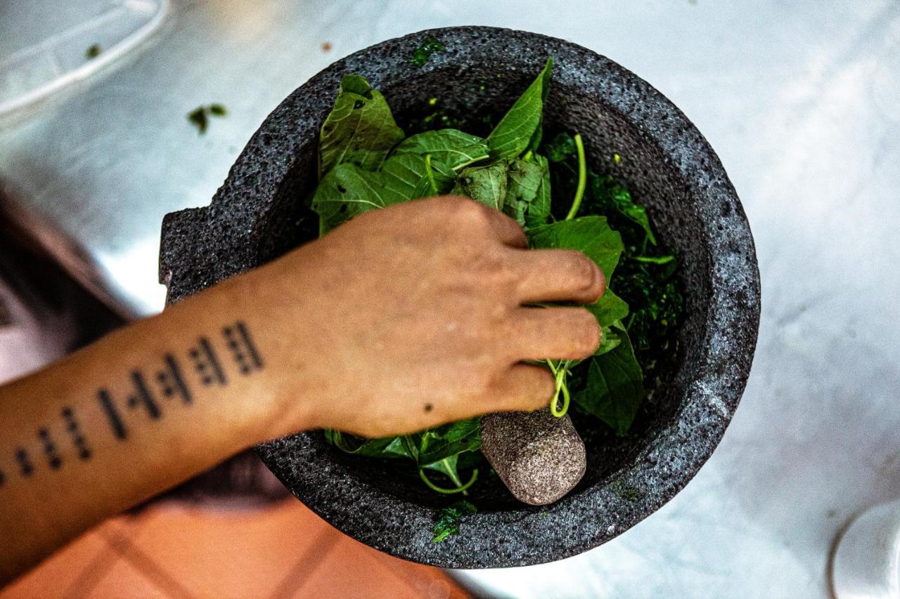 Hotel Makaaba Eco-Boutique Bacalar Exterior photo Preparation of a green mole